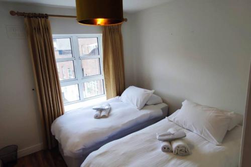 Spacious City Centre Apt - O'Connell Street Area, Dublin (fotografie 9)