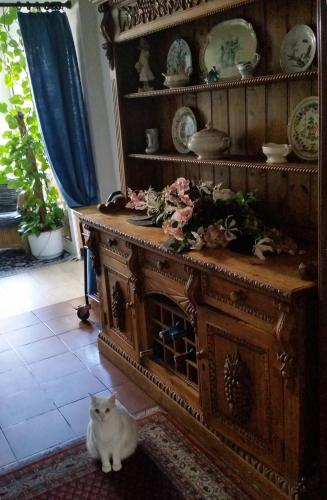 Hotel Restaurant Anna - image 8