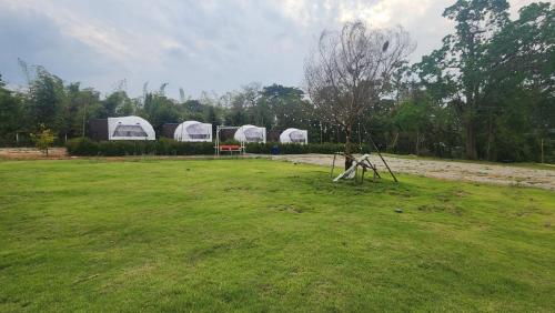 Riverhill khaoyai Camping