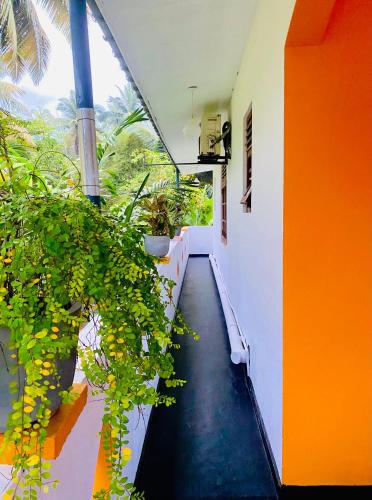 Mali Guest House in Hikkaduwa