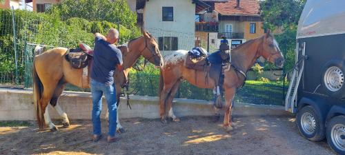 Horse House