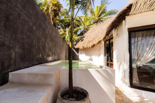 Casa Gitano, Tulum (photo 8)