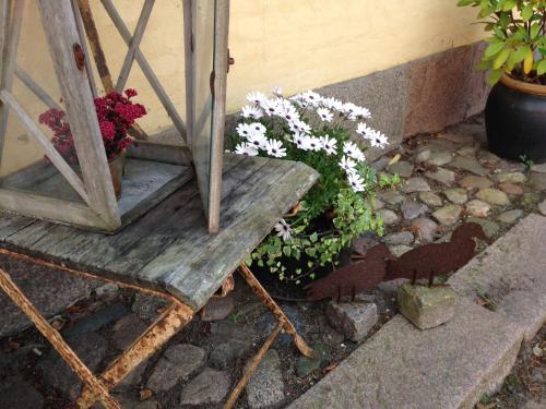 Birkende Bed and Breakfast - image 7
