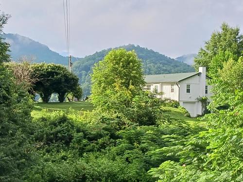 Peace of Paradise in Townsend, USA