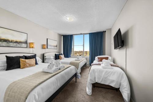 Penthouse Living near DC and Metro in Arlington, USA