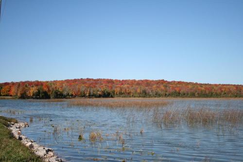 Birchwood Lodge