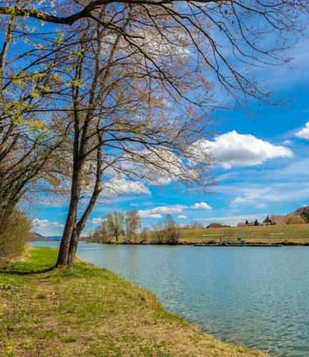 Apartment an der Donau