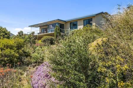 The Bay Waterfront home 10 min to CBD Sleeps 9
