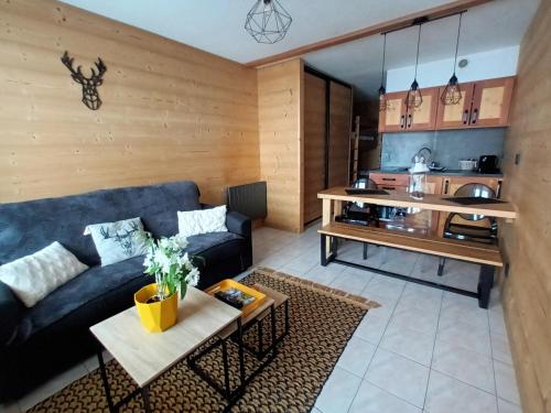 appartement montagne- le petit Chaillol - Apartment - Saint-Michel-de-Chaillol