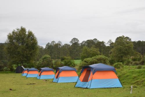 COMPLEJO DE HOSPEDAJE EN BOSQUE ECO REINO AVENTURA in Nanacamilpa, Mexico