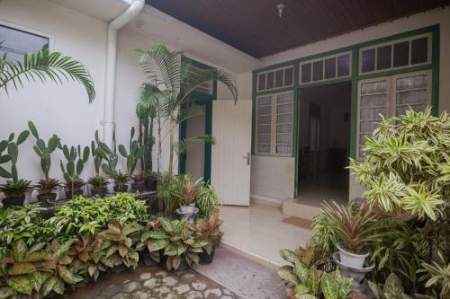 Rumah Nizar (next to Ngarai Sianok)