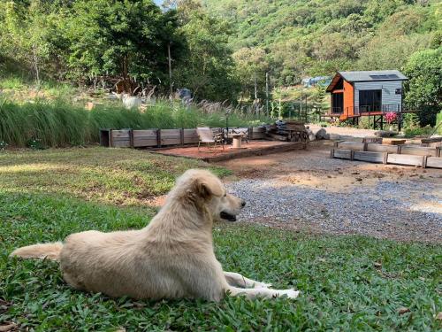The signature valley khaoyai campus - 주변 환경
