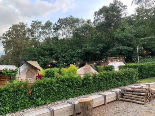 The signature valley khaoyai campus - 정원