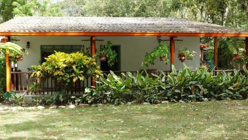 Finca Jerusalen in Tobia