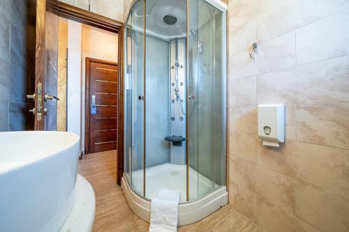 Hotel Alexandar Lux - image 10