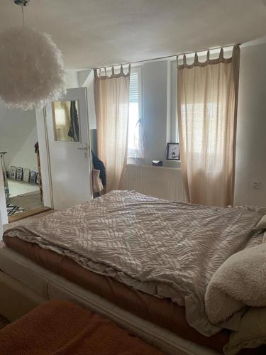 City Apartment photo 3