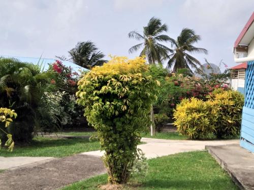 Appartement Rosbambou les pieds dans l eau Appartement Rosbambou les pieds dans l eau