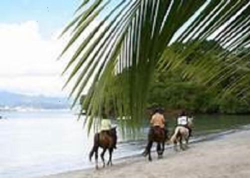 Appartement Rosbambou les pieds dans l eau Appartement Rosbambou les pieds dans l eau