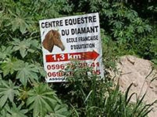 Appartement Rosbambou les pieds dans l eau Appartement Rosbambou les pieds dans l eau