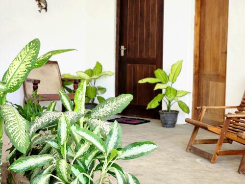 Garden, Sun sea guest home in Tangalle
