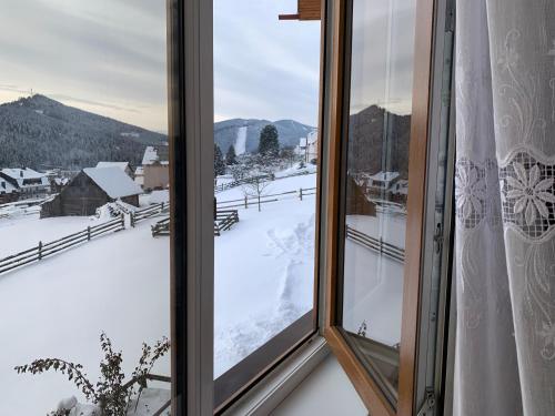 Skats, Guest House Velet in Polyanytsya