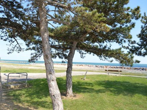 Charmant 2P avec loggia fermée, proche plage à St-Cyprien Plage - FR-1-225D-131 Charmant 2P avec loggia fermée, proche plage à St-Cyprien Plage - FR-1-225D-131