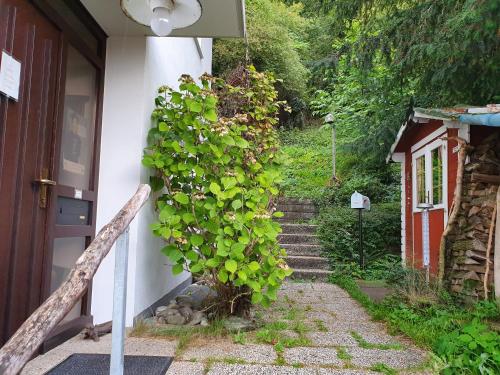 Kilátás, Regio Basiliensis in Grenzach-Wyhlen