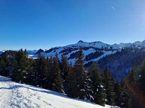 Appartement-Chalet avec Terrasse - Vue Lac