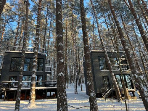 Premium Forest Bungalow with Ofuro Tub