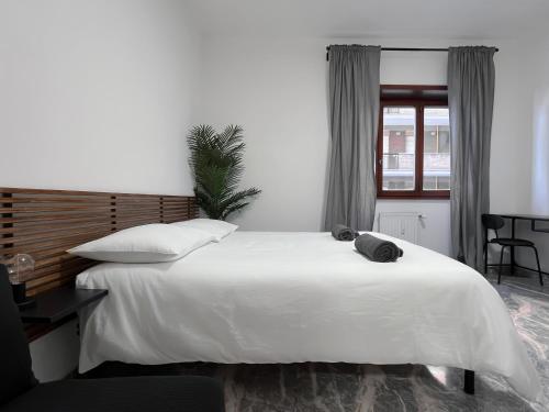 Pascià Rooms – Rome