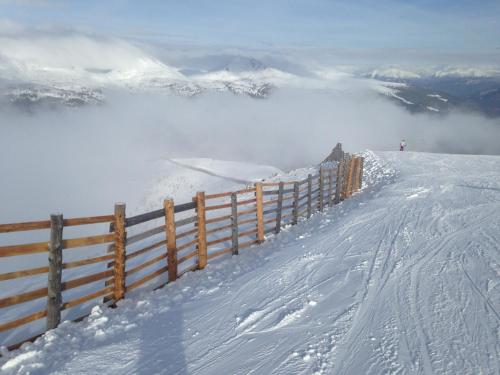 Bärenhütte - image 13