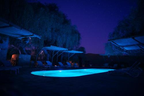 Pool, Thousand Nights Camp in A'Sharqiyah Sands (Wahiba)