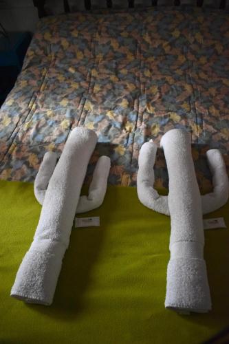 Hospedaje Los Cardones