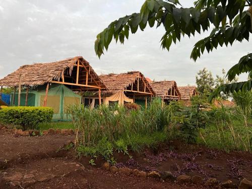 Jua Manyara Lodge & Camp Site