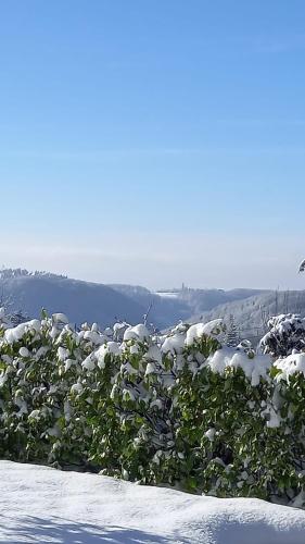 Haus am Wald in Hillscheid, Deutschland