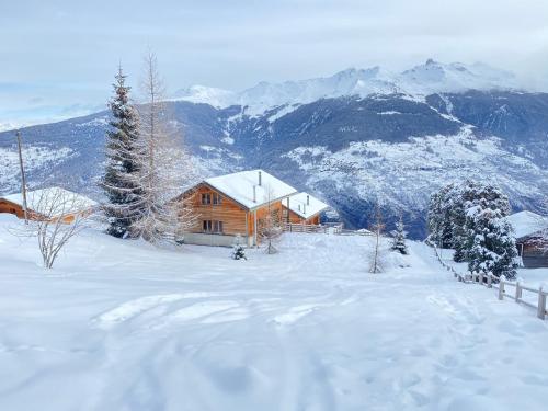 La Pourvoirie - 4 Vallées - Thyon-Les Collons, 10 personnes, pistes de ski à 200m, magnifique vue