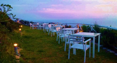 Tenuta Solomita - image 5