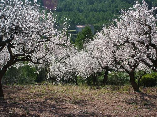 CASA ALADOS 2 bed villa apartment with stunning views CASA ALADOS 2 bed villa apartment with stunning views