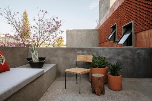 525690982 Macondo Arte Oaxaca