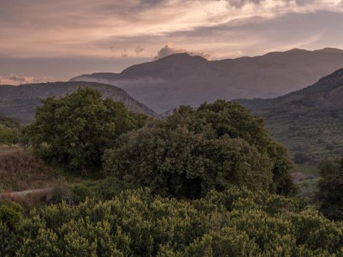 View, Villa Lambraki in Paliani