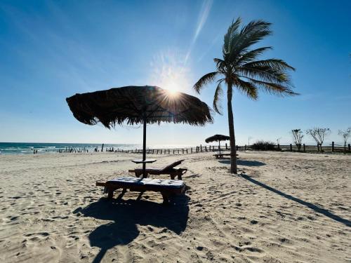 1-Bedroom on Forest Island & Oceanside View, Salalah (foto 10)