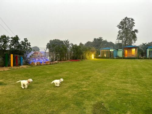 B&B Gurugram - Farm with 5 huts, heated pool and bonfire - Bed and Breakfast Gurugram
