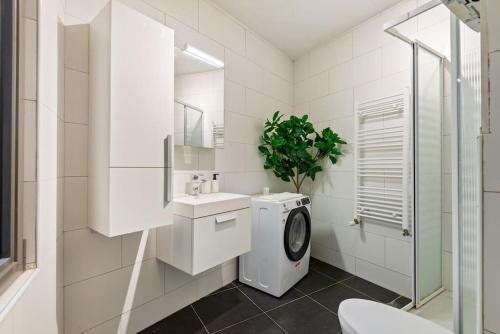 Bright Flat near City Center 24hr Parking, Antverpy (fotografie 10)