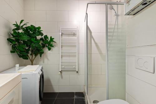 Bright Flat near City Center 24hr Parking, Antverpy (fotografie 9)