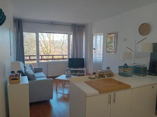 Appartement Hendaye, 2 pièces, 4 personnes - FR-1-239-1019 - Location saisonnière - Hendaye