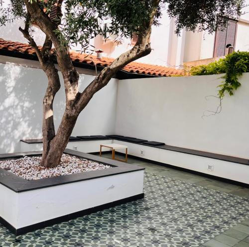 Splendida Casa - 50 metri dal mare