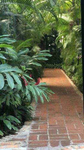 Centrally located quiet 2 bedroom condo with pool one block from beach in Puerto Vallarta, Mexico