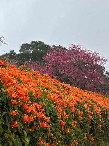 Tong Xin Farmstay in Gongguan Township