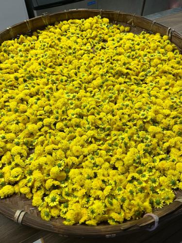 Tong Xin Farmstay in Gongguan Község