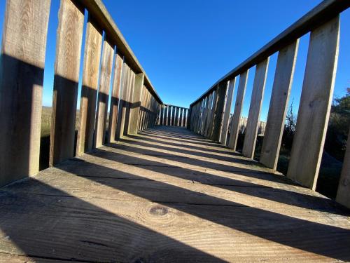 Les Cottages du Bassin d'Arcachon - image 3